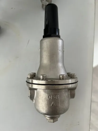 Edelstahl-Sanitär-Sanitaire-Pneumatik-Absperrklappe/Membran/Sicherheitsentlastung/Rückschlagventil/Rückschlagventil/Winkelsitz/Kugelregelventil (JN